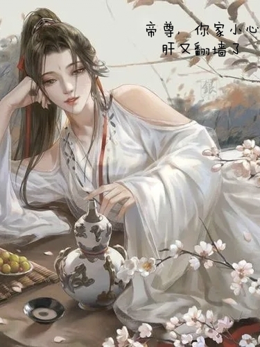 帝尊，你家小心肝又翻墙了小说，帝尊，你家小心肝又翻墙了全文在线阅读