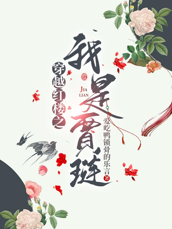 主角叫贾琏王熙凤的小说穿越红楼之我是贾琏免费看
