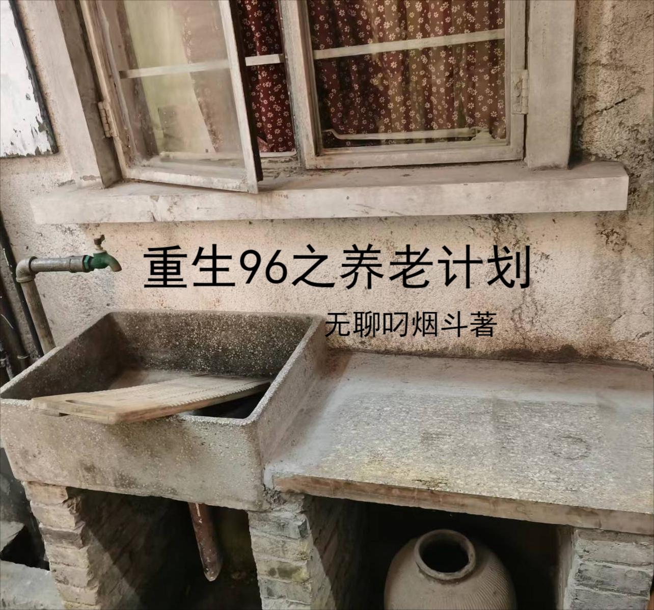 重生96之养老计划小说，重生96之养老计划全文在线阅读