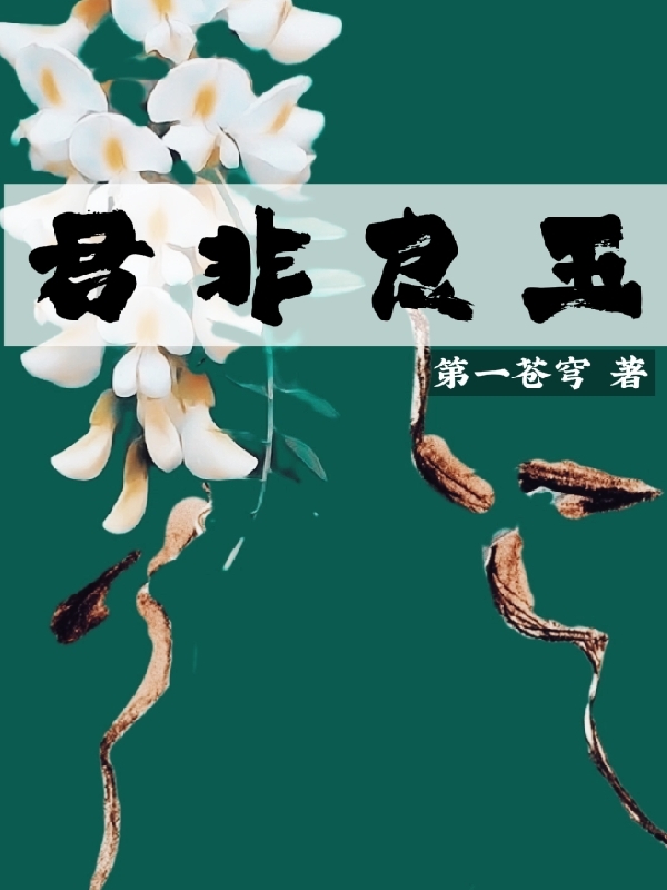 梁玉陆拂衣小说君非良玉无广告阅读