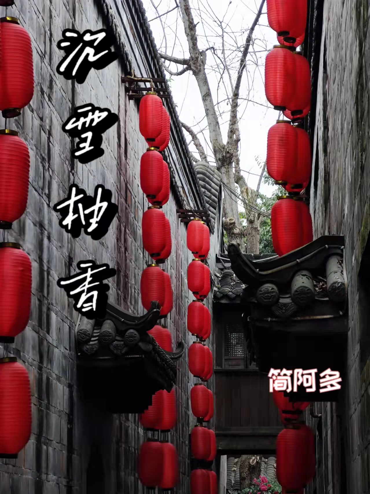 苏梓柚许牧铖小说沉雪柚香全文免费阅读