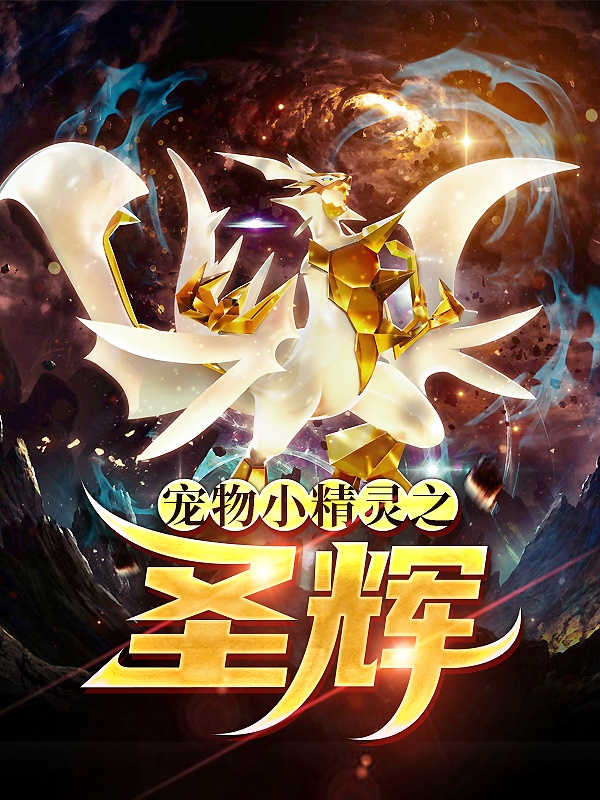 宠物小精灵之圣辉小说，宠物小精灵之圣辉免费阅读