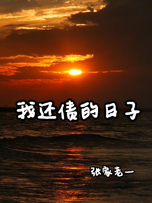 我还债的日子小说，我还债的日子在线阅读-瑞奇文学