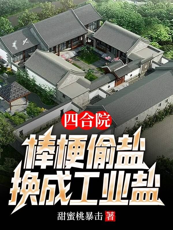 四合院：棒梗偷盐，换成工业盐免费阅读