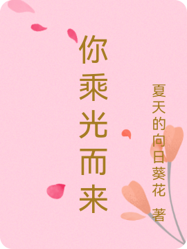 你乘光而来李子葵小说在线章节目录阅读最新章节