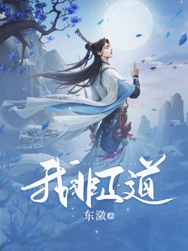 小说《我非正道》在线全文阅读