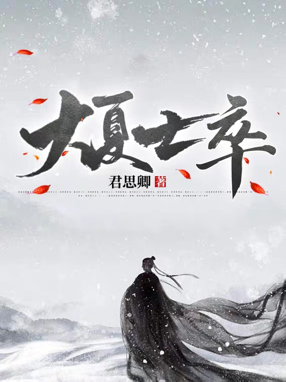 大夏士卒小说，大夏士卒全文在线阅读