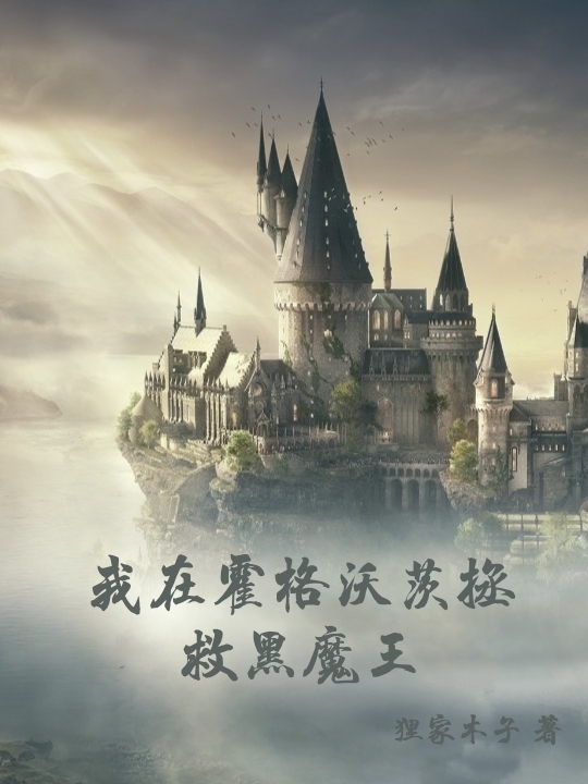 阿利安娜汤姆里德尔小说在线全文免费阅读（我在霍格沃茨拯救黑魔王无弹窗无删减）