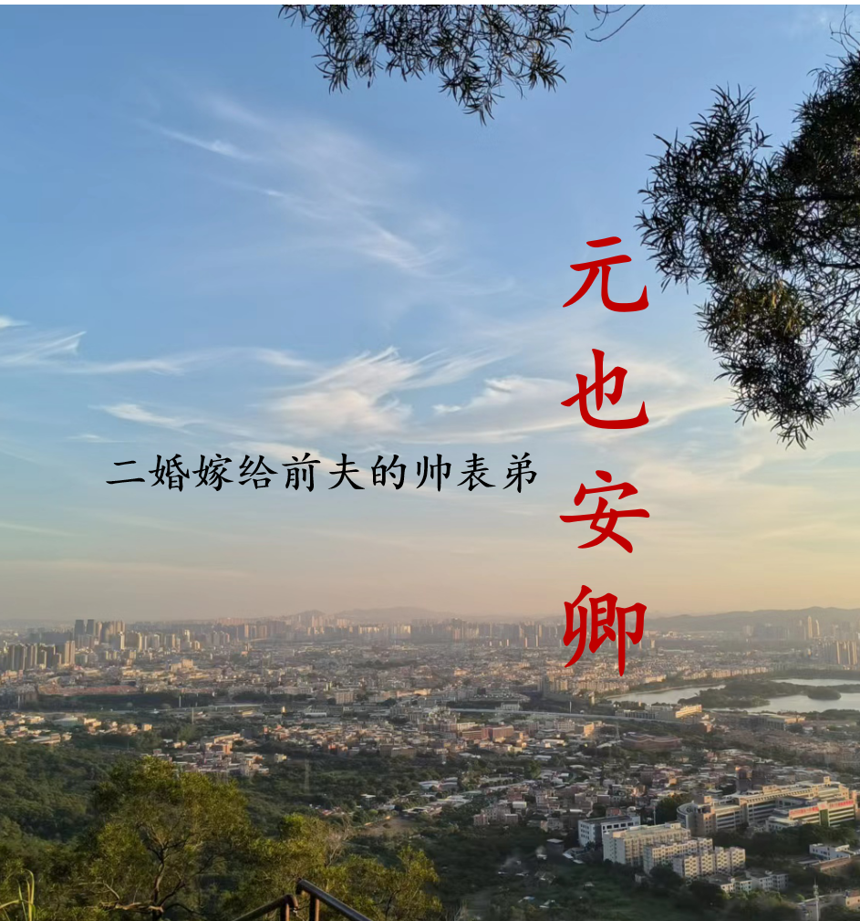 元也安卿：二婚嫁给前夫的帅表弟小说，元也安卿：二婚嫁给前夫的帅表弟全文在线阅读-够力荐小说推荐网