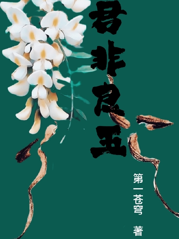 君非良玉主角梁玉陆拂衣小说完整版全文在线阅读