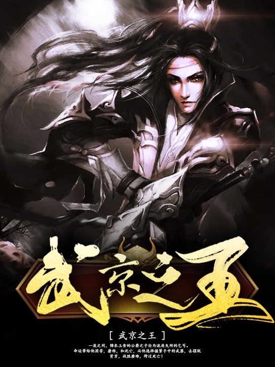 武京之王小说，武京之王在线阅读