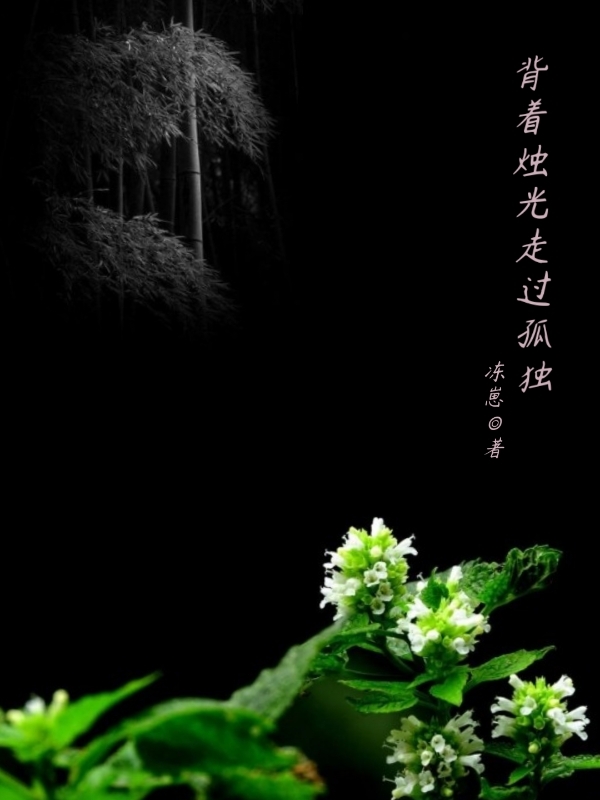 揹著燭光走過孤獨