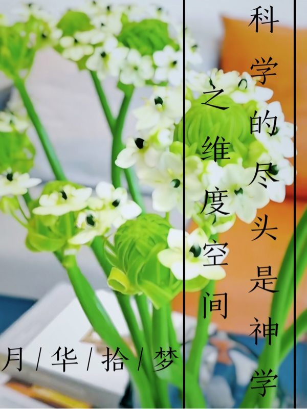 《科学的尽头是神学之维度空间》小说全文在线试读，《科学的尽头是神学之维度空间》最新章节目录-够力荐小说推荐网
