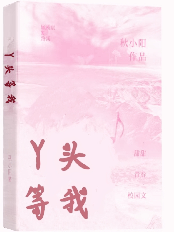 丫头等我小说，丫头等我免费阅读