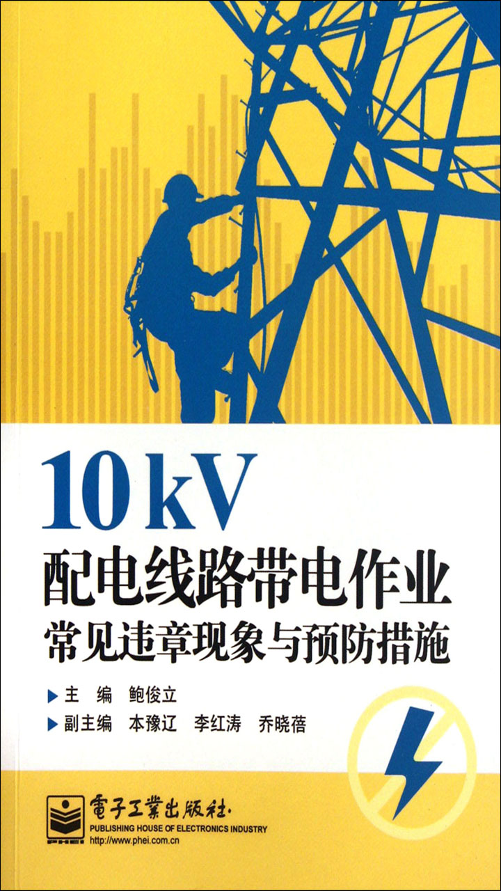 10kV配电线路带电作业常见违章现象与预防措施
