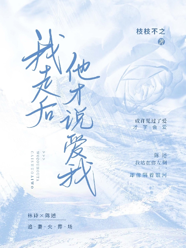 我走后他才说爱我林诗陈述小说全文免费阅读