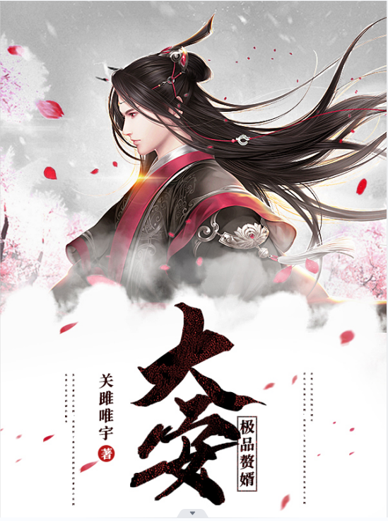 主人公叶宸小说大安极品赘婿在线全文阅读