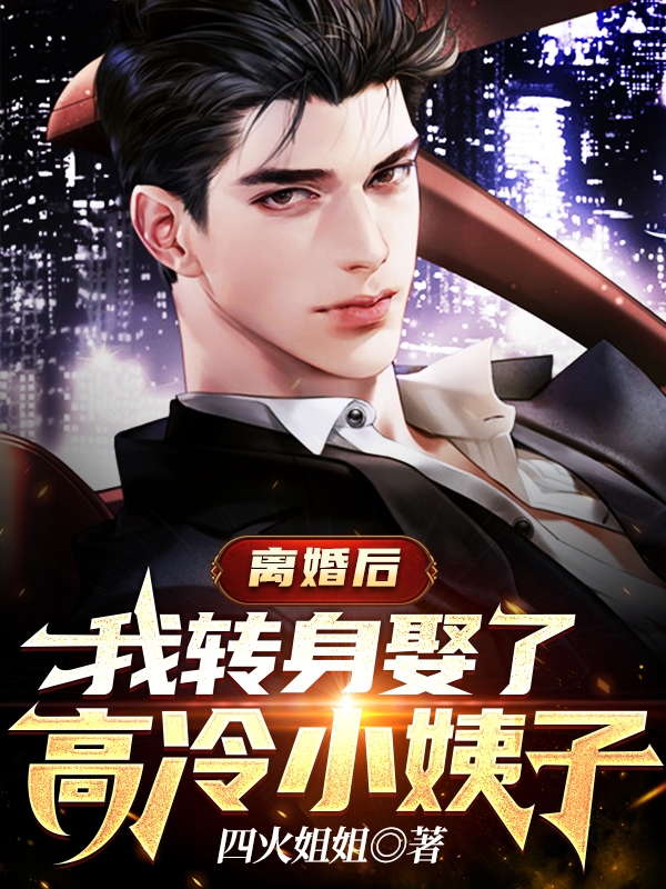 《离婚后，我转身娶了高冷小姨子》全集免费在线阅读（沈离凌雪）