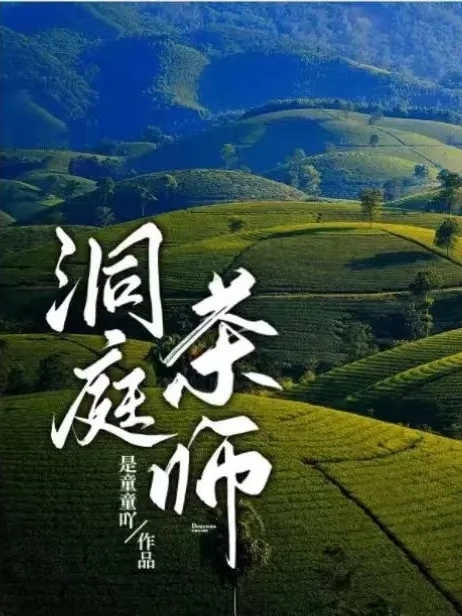 求洞庭茶师小说免费资源