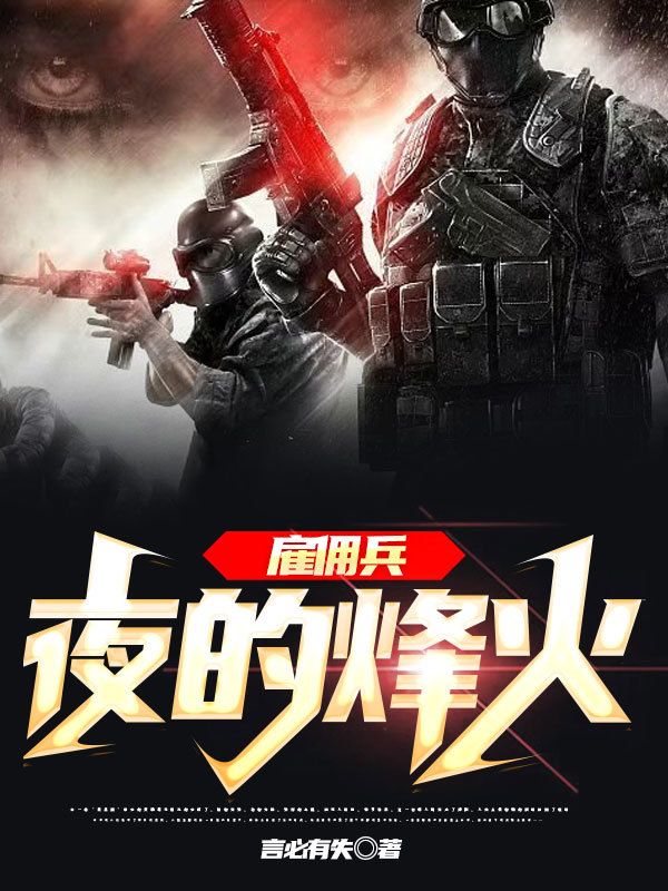 雇佣兵：夜的烽火免费阅读，雇佣兵：夜的烽火黑狐