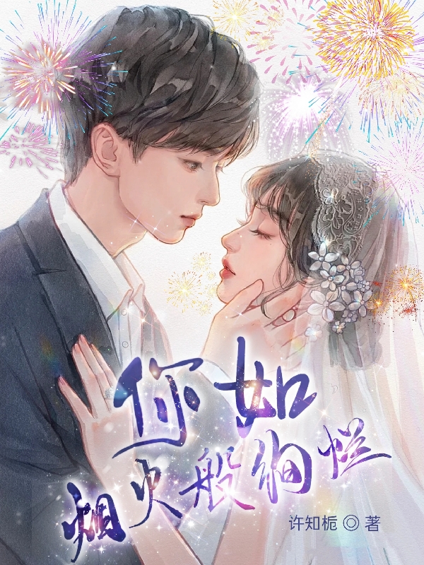 你如烟火般绚烂（南风萧崖天）在线免费阅读