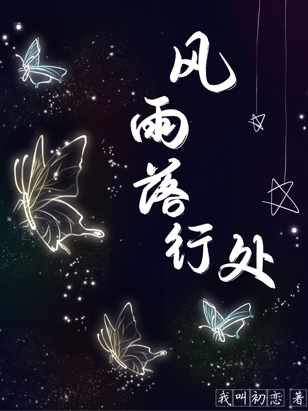 风雨落行处李长安连启云小说在线全文免费阅读