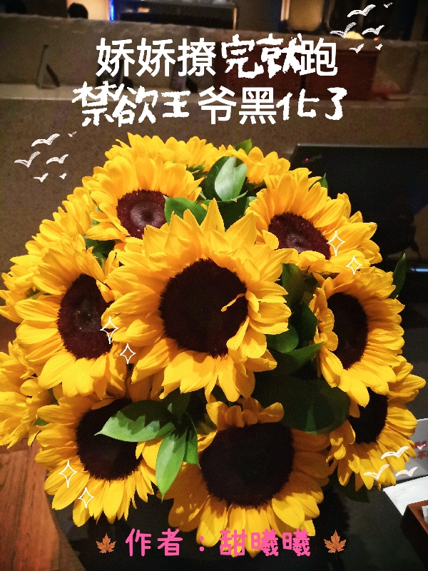 主角叫明臻云璟澜小说娇娇撩完就跑，禁欲王爷黑化了全文免费阅读-优文网