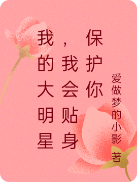 求我的大明星，我会贴身保护你小说免费资源