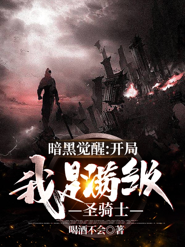 小说《暗黑觉醒：开局我是满级圣骑士》全文免费阅读-优文网