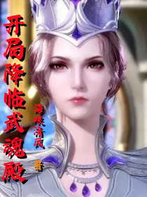 开局降临武魂殿主角冥夜小说完整版全文在线阅读-优文网