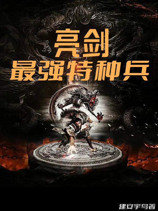 亮剑：最强特种兵叶不凡小说在线章节目录阅读最新章节-美文小说