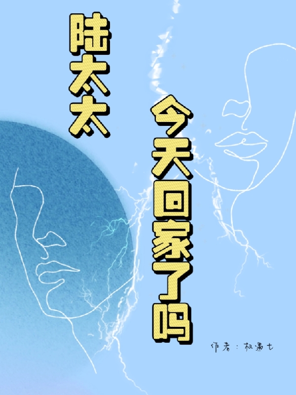 小说《陆太太今天回家了吗》在线全文阅读-有文学