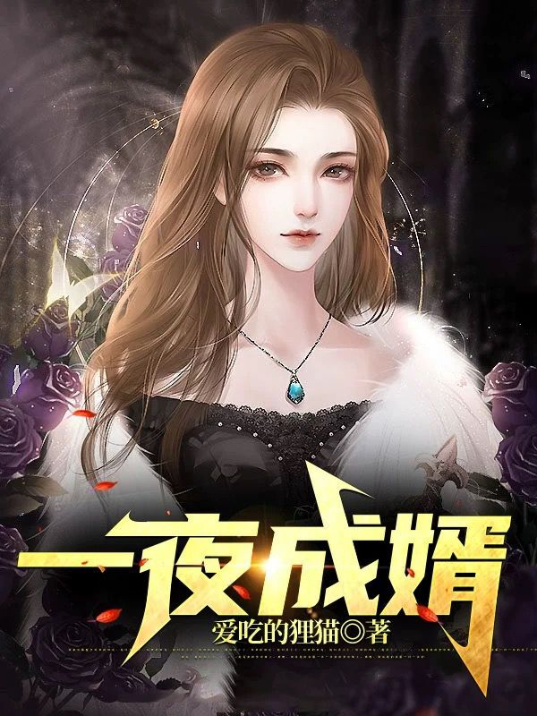 林尘苏倾城小说章节列表阅读，一夜成婿无弹窗在线看
