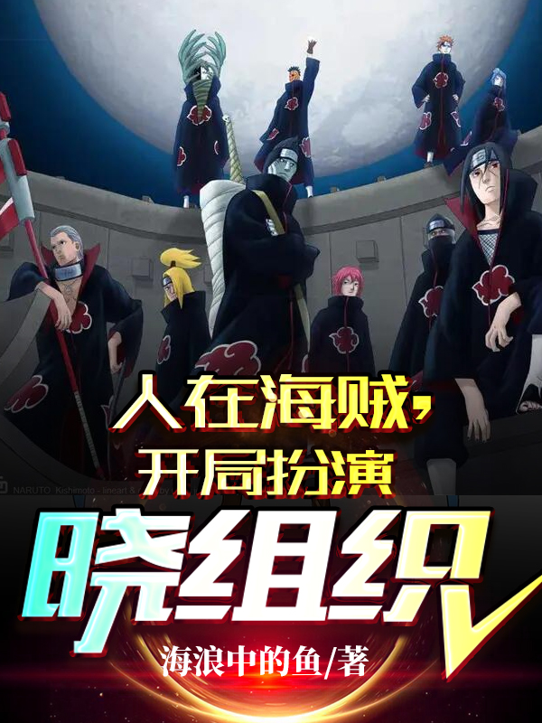 人在海贼，开局扮演晓组织免费阅读