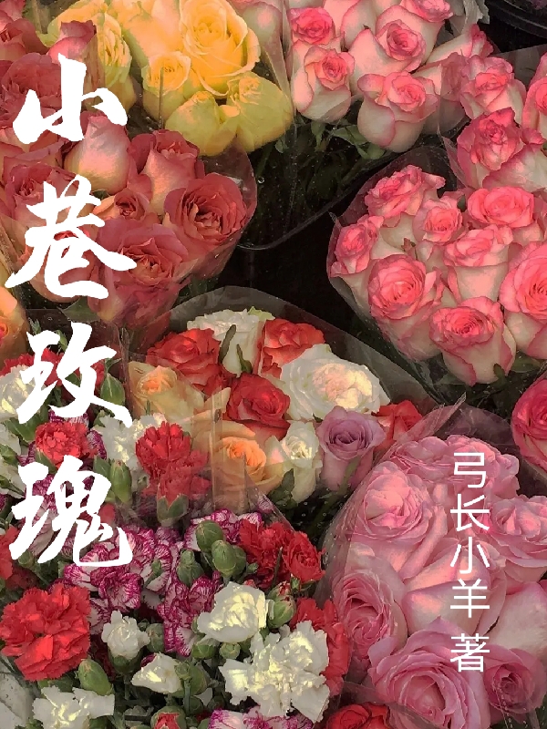 小巷玫瑰姜云苏谢邹，小巷玫瑰在线无弹窗阅读