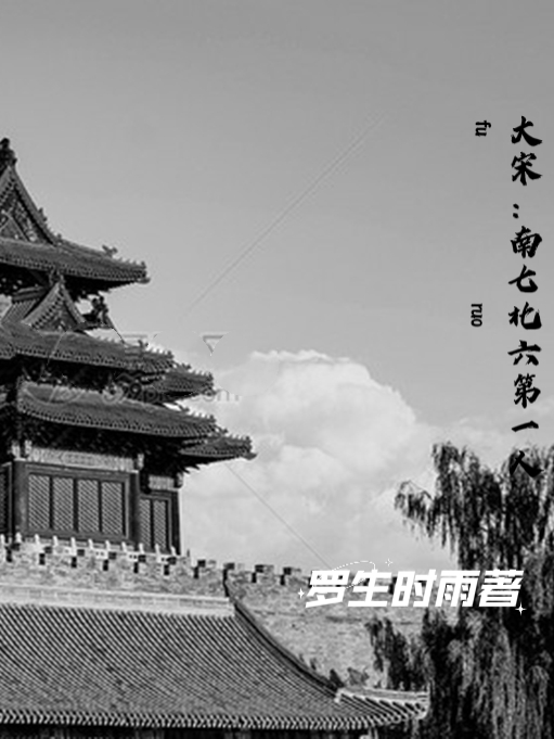 大宋：南七北六第一人小说，大宋：南七北六第一人全文在线阅读