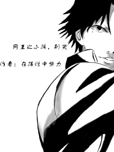 完整版《网王之小孩，别哭》全文阅读