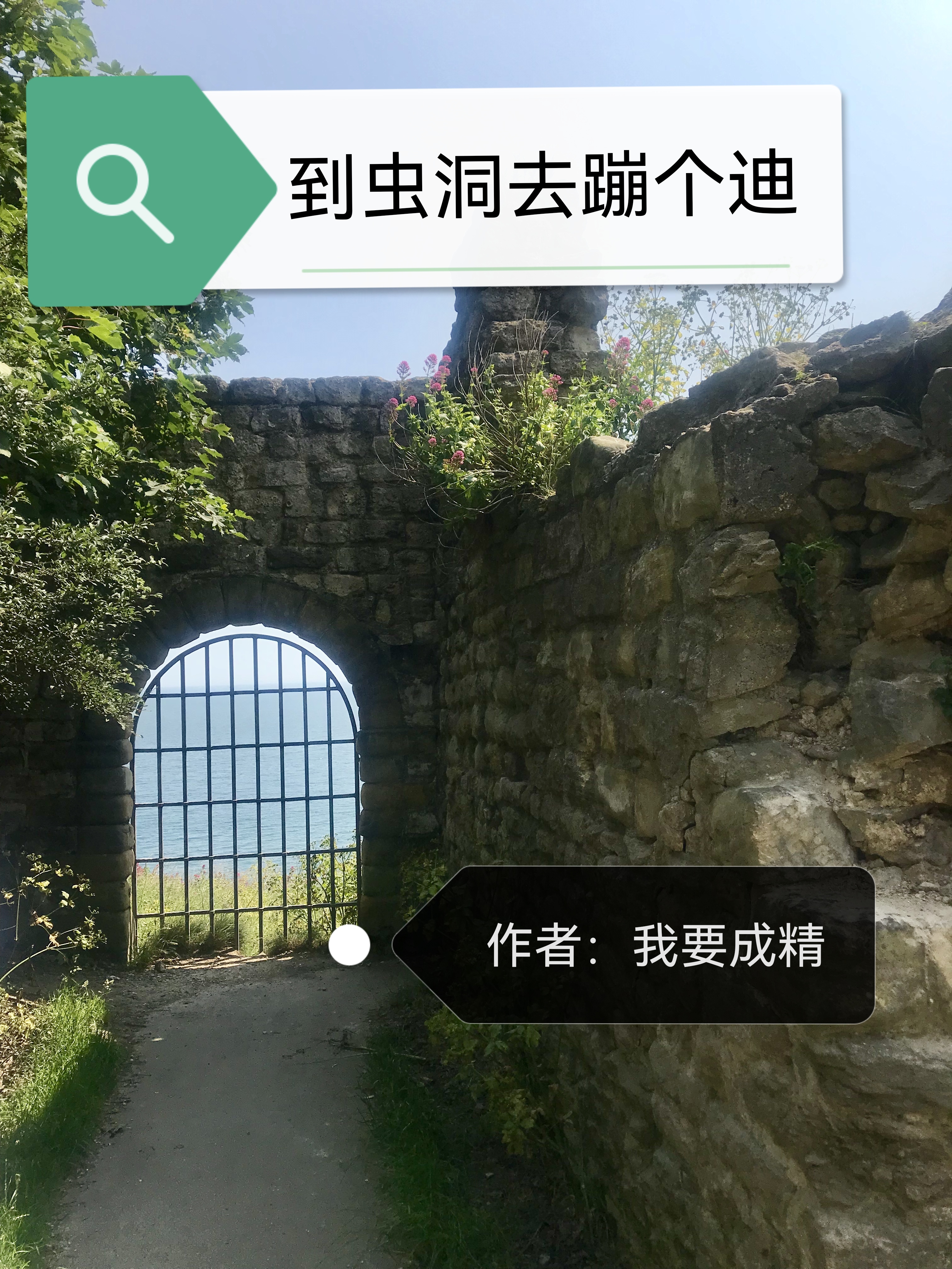 完整版《到虫洞去蹦个迪》免费阅读-瑞奇文学