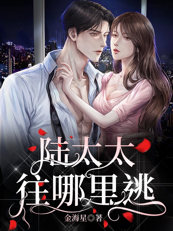 已完结小说《陆太太，往哪里逃》最新章节-读书翁