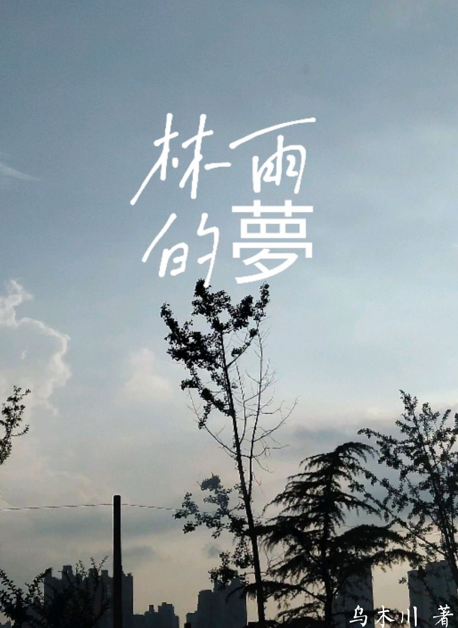 《林雨的梦》小说章节列表免费试读，穆林雨小说在线阅读