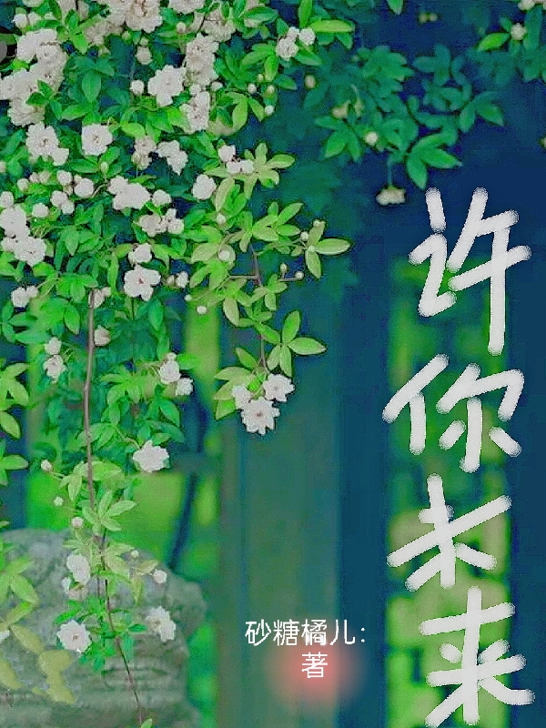 许你未来苏北沈南初小说在线全文免费阅读