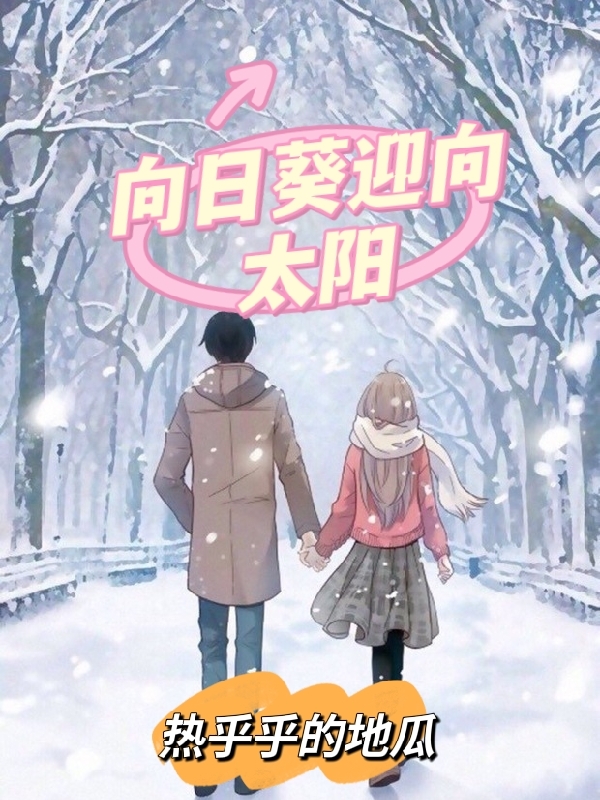 主角夏暖暖沈湛小说完整版在线阅读，向日葵迎向太阳免费看