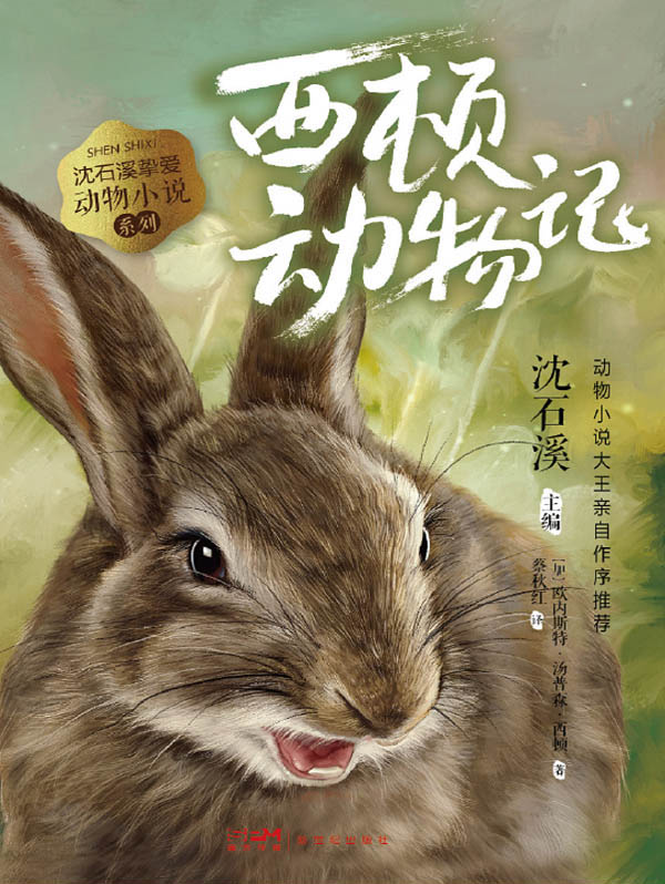 沈石溪挚爱动物小说系列：6.西顿动物记