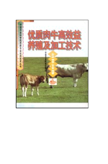 优质肉牛高效益养殖及加工技术