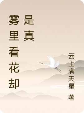 雾里看花却是真冷寒皓月沐璃小说在线章节目录阅读最新章节