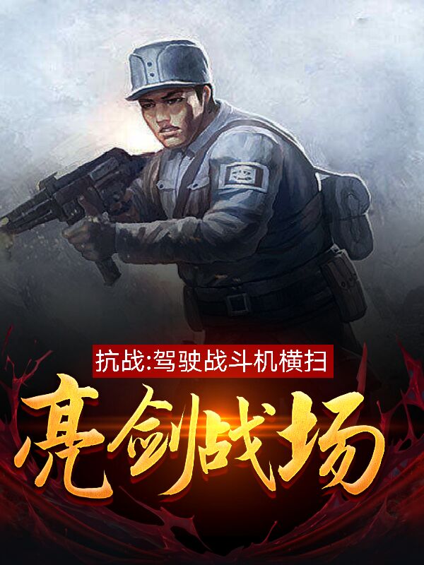 抗战：驾驶战斗机横扫亮剑战场秦风小说免费阅读-有文学