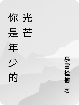 你是年少的光芒小说完整版全文免费阅读