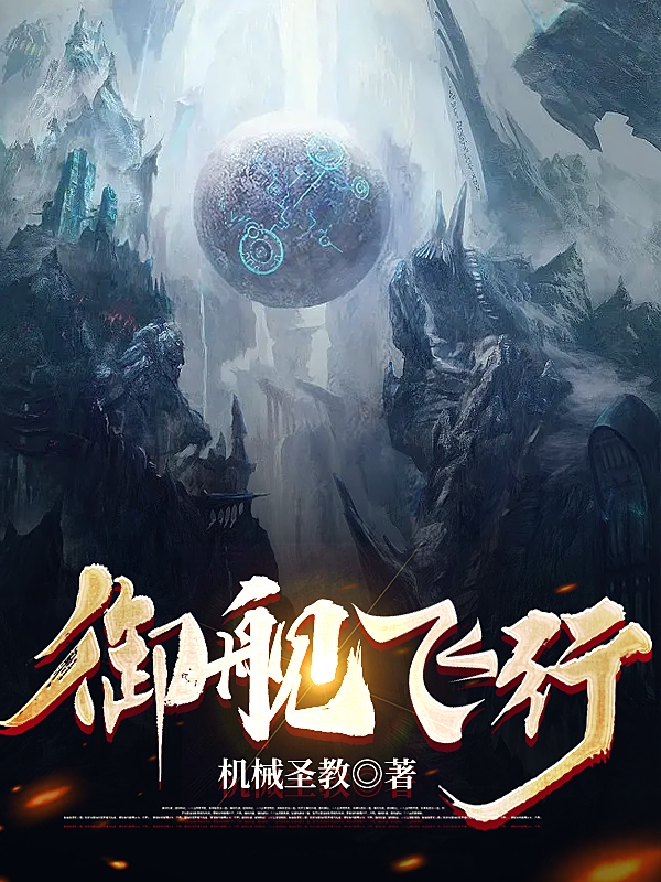 御舰飞行全章节免费在线阅读，叶天明林婉儿完结版-瑞奇文学