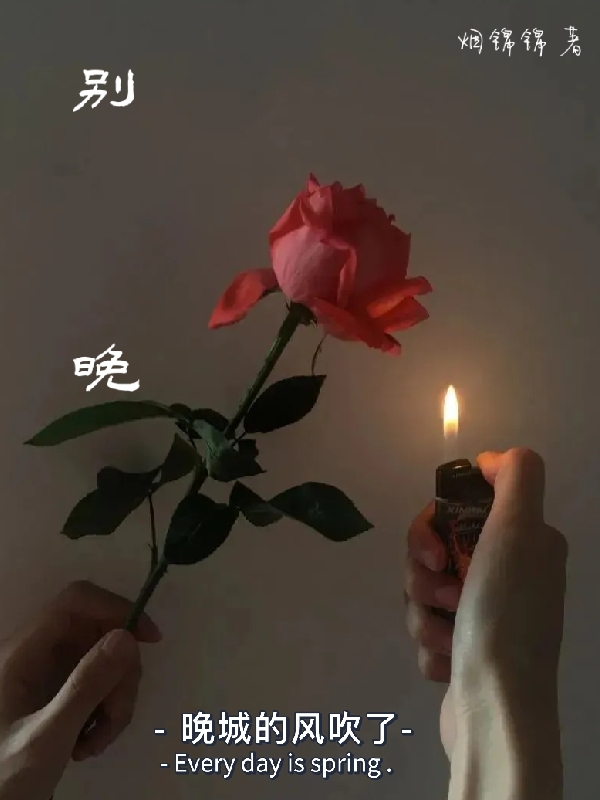 别晚免费阅读