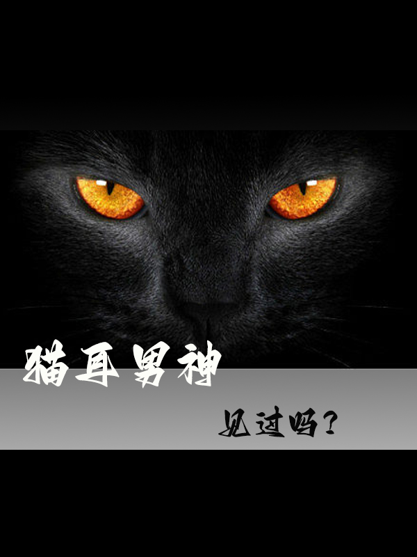 完整版《猫耳男神见过吗》在线免费阅读